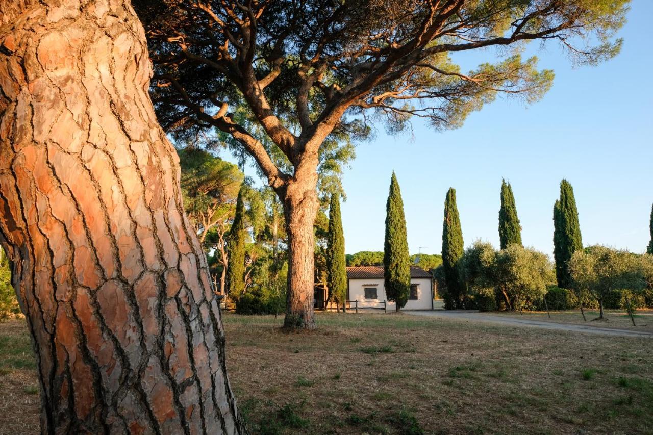 Residence La Canova II Marina di Grosseto Exterior foto