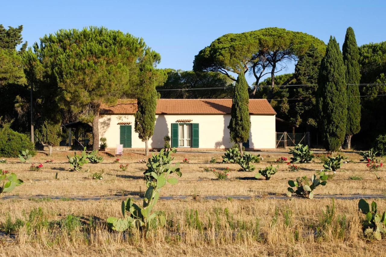 Residence La Canova II Marina di Grosseto Exterior foto
