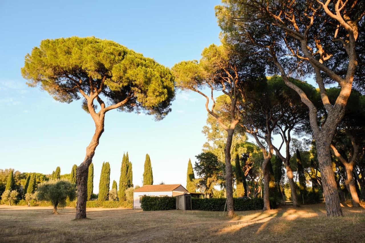 Residence La Canova II Marina di Grosseto Exterior foto