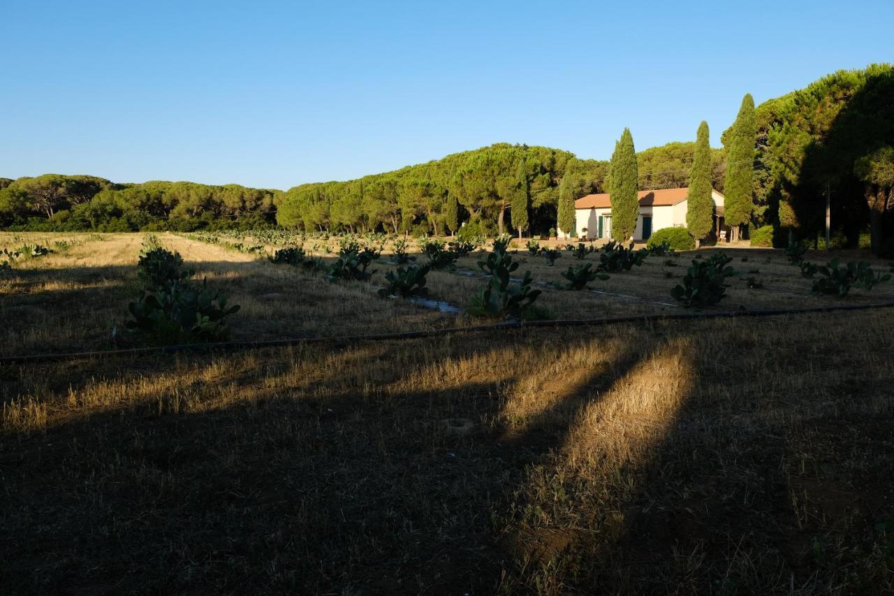 Residence La Canova II Marina di Grosseto Exterior foto