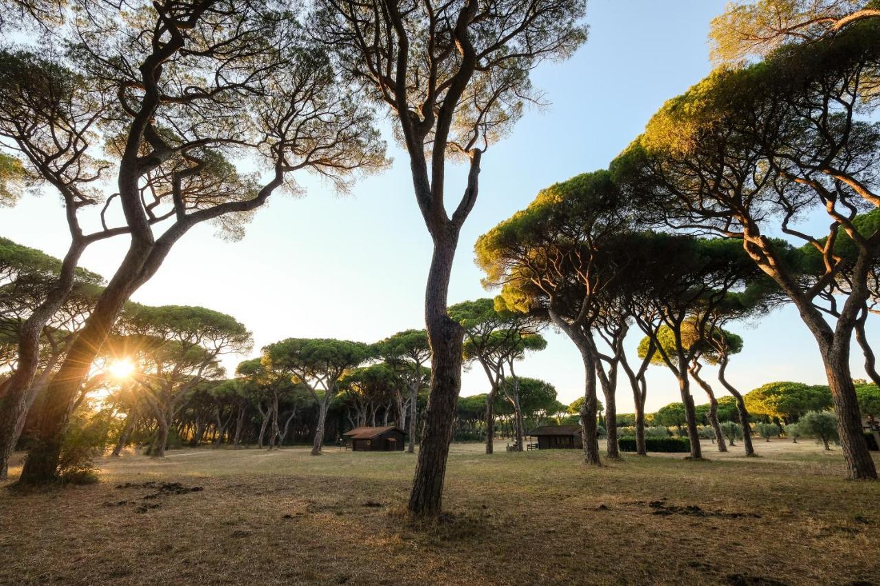 Residence La Canova II Marina di Grosseto Exterior foto